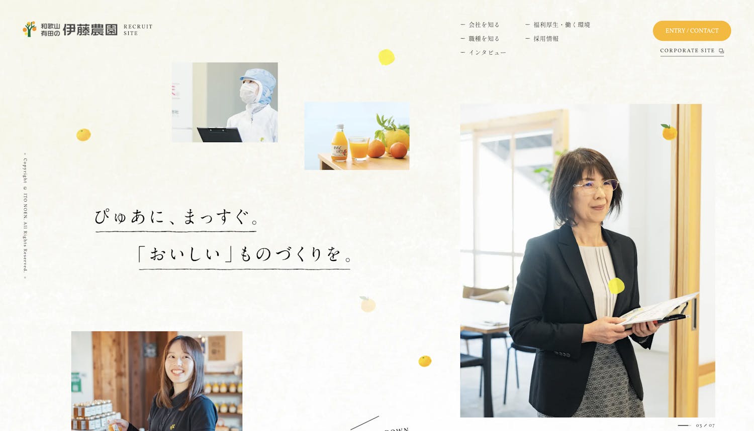https://recruit.ito-noen.co.jp/